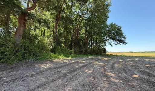 Photo #43 of Off of 1318, Mount Olive, NC 51.0 acres