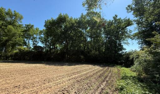 Photo #44 of Off of 1318, Mount Olive, NC 51.0 acres