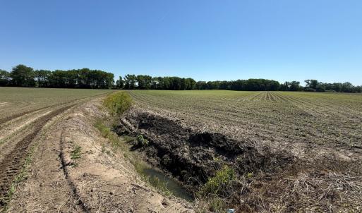 Photo #46 of Off of 1318, Mount Olive, NC 51.0 acres