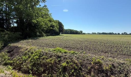 Photo #47 of Off of 1318, Mount Olive, NC 51.0 acres