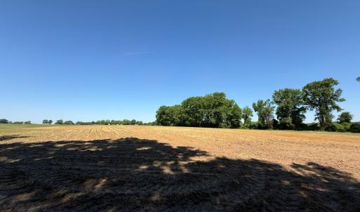Photo #48 of Off of 1318, Mount Olive, NC 51.0 acres