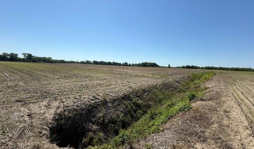 Photo #49 of Off of 1318, Mount Olive, NC 51.0 acres