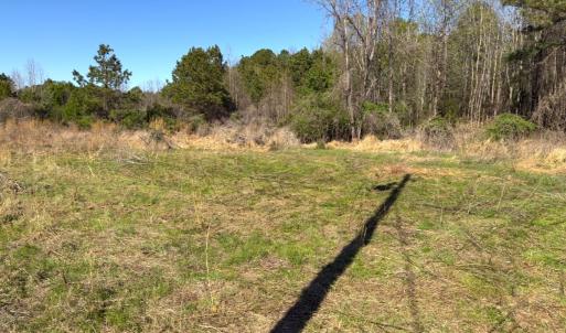 Photo #11 of Off Mt Pleasant Church Road, Manson, NC 12.6 acres