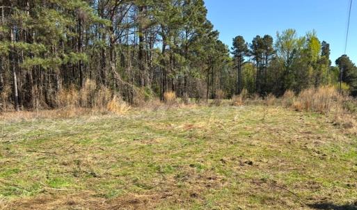 Photo #3 of Off Mt Pleasant Church Road, Manson, NC 12.6 acres