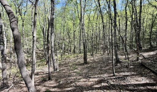 Photo #11 of Off Big Rock Ln, Lowgap, NC 7.0 acres
