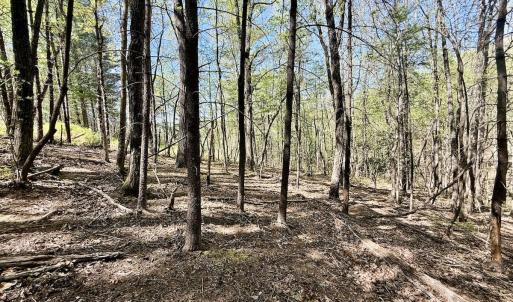Photo #12 of Off Big Rock Ln, Lowgap, NC 7.0 acres