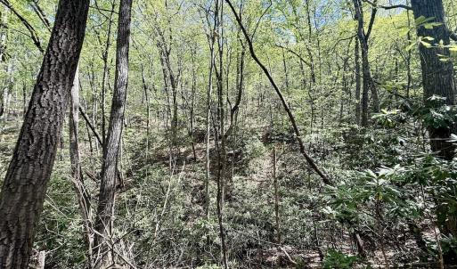 Photo #15 of Off Big Rock Ln, Lowgap, NC 7.0 acres