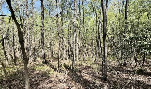 Photo #17 of Off Big Rock Ln, Lowgap, NC 7.0 acres