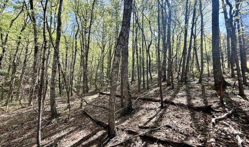 Photo #18 of Off Big Rock Ln, Lowgap, NC 7.0 acres