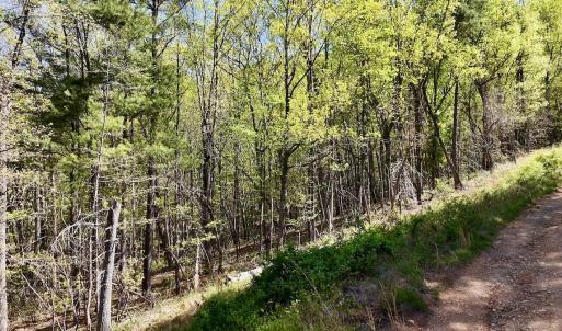Photo #19 of Off Big Rock Ln, Lowgap, NC 7.0 acres