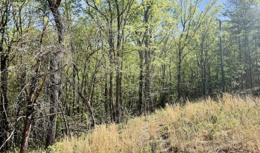 Photo #2 of Off Big Rock Ln, Lowgap, NC 7.0 acres