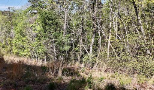 Photo #22 of Off Big Rock Ln, Lowgap, NC 7.0 acres