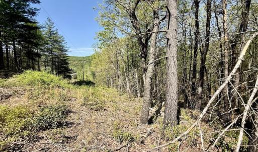 Photo #23 of Off Big Rock Ln, Lowgap, NC 7.0 acres
