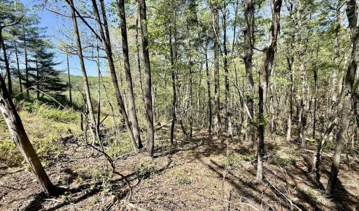 Photo #3 of Off Big Rock Ln, Lowgap, NC 7.0 acres