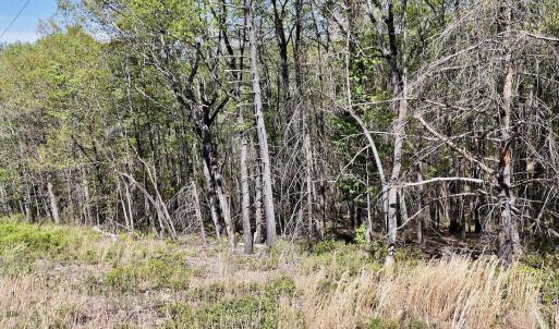 Photo #5 of Off Big Rock Ln, Lowgap, NC 7.0 acres