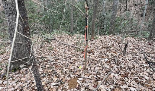 Photo #7 of Off Big Rock Ln, Lowgap, NC 7.0 acres