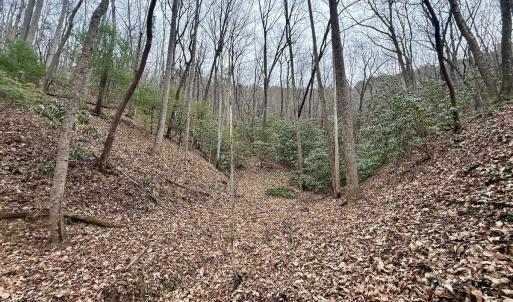 Photo #8 of Off Big Rock Ln, Lowgap, NC 7.0 acres