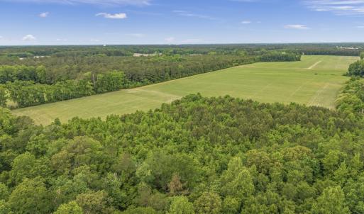 Photo #10 of 34.4 Acres High School Road, Teachey, NC 34.4 acres