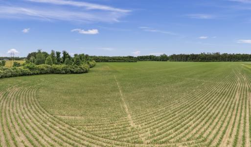 Photo #15 of 34.4 Acres High School Road, Teachey, NC 34.4 acres