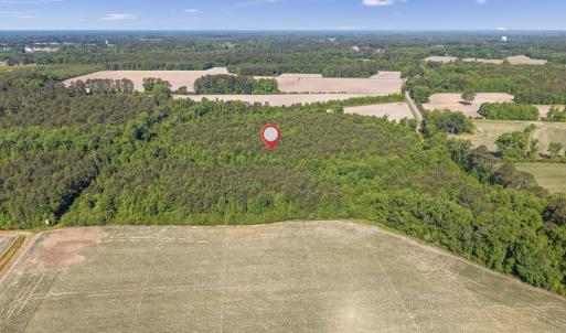 Photo #8 of 26 Acres High School Road, Teachey, NC 26.0 acres