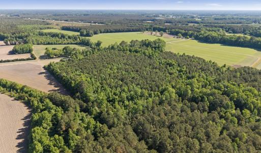 Photo #11 of 26 Acres High School Road, Teachey, NC 26.0 acres