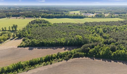 Photo #12 of 26 Acres High School Road, Teachey, NC 26.0 acres