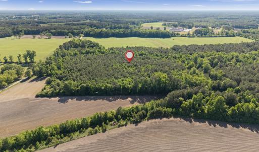 Photo #13 of 26 Acres High School Road, Teachey, NC 26.0 acres