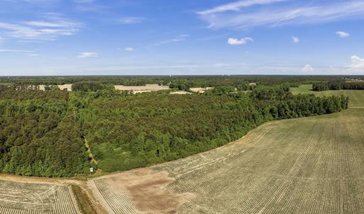 Photo #17 of 26 Acres High School Road, Teachey, NC 26.0 acres