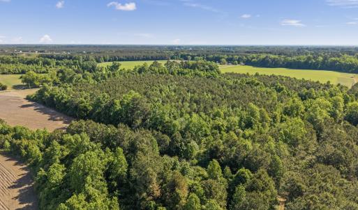 Photo #18 of 26 Acres High School Road, Teachey, NC 26.0 acres