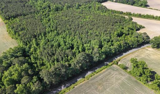 Photo #20 of 26 Acres High School Road, Teachey, NC 26.0 acres