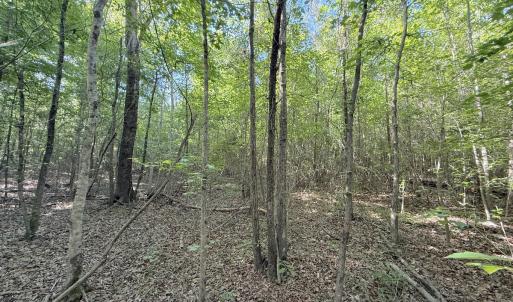 Photo #10 of Off T Tarpey Ln, Sanford, NC 12.6 acres