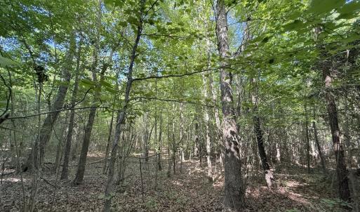 Photo #12 of Off T Tarpey Ln, Sanford, NC 12.6 acres