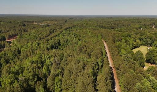 Photo #13 of Off T Tarpey Ln, Sanford, NC 12.6 acres