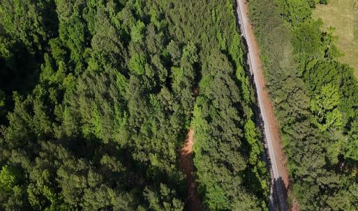 Photo #14 of Off T Tarpey Ln, Sanford, NC 12.6 acres