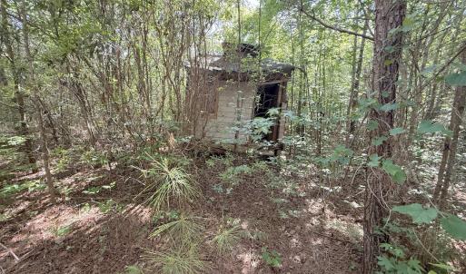 Photo #16 of Off T Tarpey Ln, Sanford, NC 12.6 acres