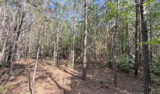 Photo #19 of Off T Tarpey Ln, Sanford, NC 12.6 acres
