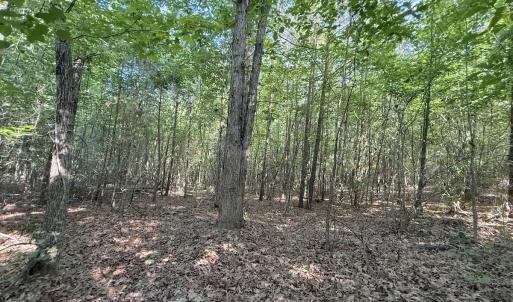 Photo #7 of Off T Tarpey Ln, Sanford, NC 12.6 acres