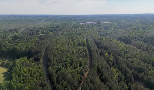 Photo #22 of Off T Tarpey Ln, Sanford, NC 12.6 acres