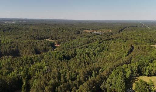 Photo #23 of Off T Tarpey Ln, Sanford, NC 12.6 acres