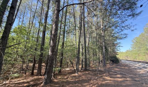 Photo #25 of Off T Tarpey Ln, Sanford, NC 12.6 acres