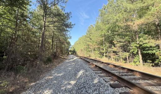 Photo #26 of Off T Tarpey Ln, Sanford, NC 12.6 acres