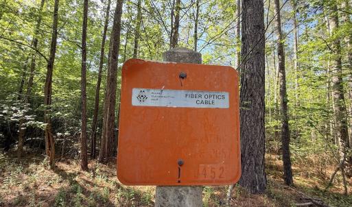 Photo #29 of Off T Tarpey Ln, Sanford, NC 12.6 acres