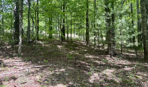 Photo #14 of Off of Ashe View Dr, Millers Creek, NC 4.7 acres