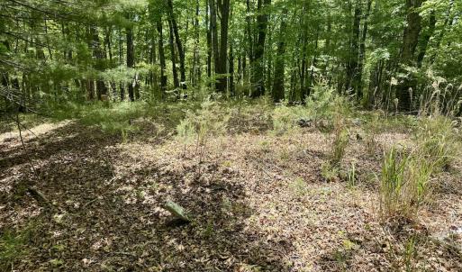 Photo #18 of Off of Ashe View Dr, Millers Creek, NC 4.7 acres
