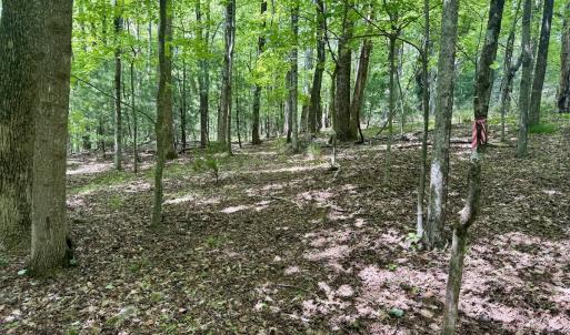 Photo #19 of Off of Ashe View Dr, Millers Creek, NC 4.7 acres
