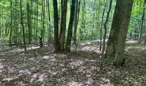 Photo #2 of Off of Ashe View Dr, Millers Creek, NC 4.7 acres