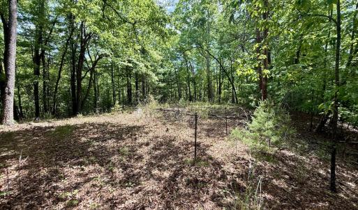 Photo #5 of Off of Ashe View Dr, Millers Creek, NC 4.7 acres