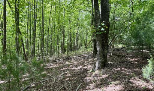 Photo #6 of Off of Ashe View Dr, Millers Creek, NC 4.7 acres