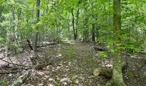 Photo #7 of Off of Ashe View Dr, Millers Creek, NC 4.7 acres