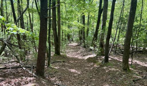 Photo #8 of Off of Ashe View Dr, Millers Creek, NC 4.7 acres